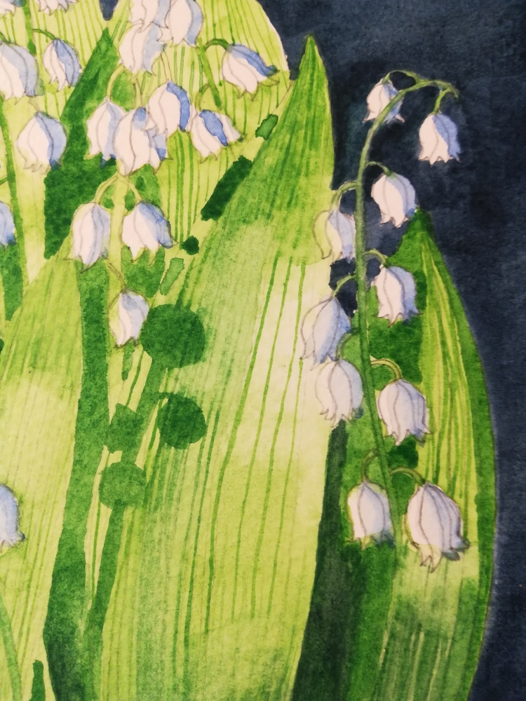 Lily of the valley in watercolour 