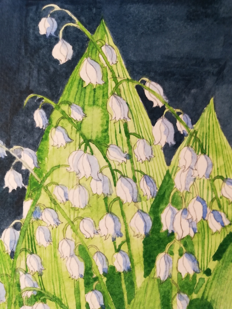 Lily of the valley in watercolour 