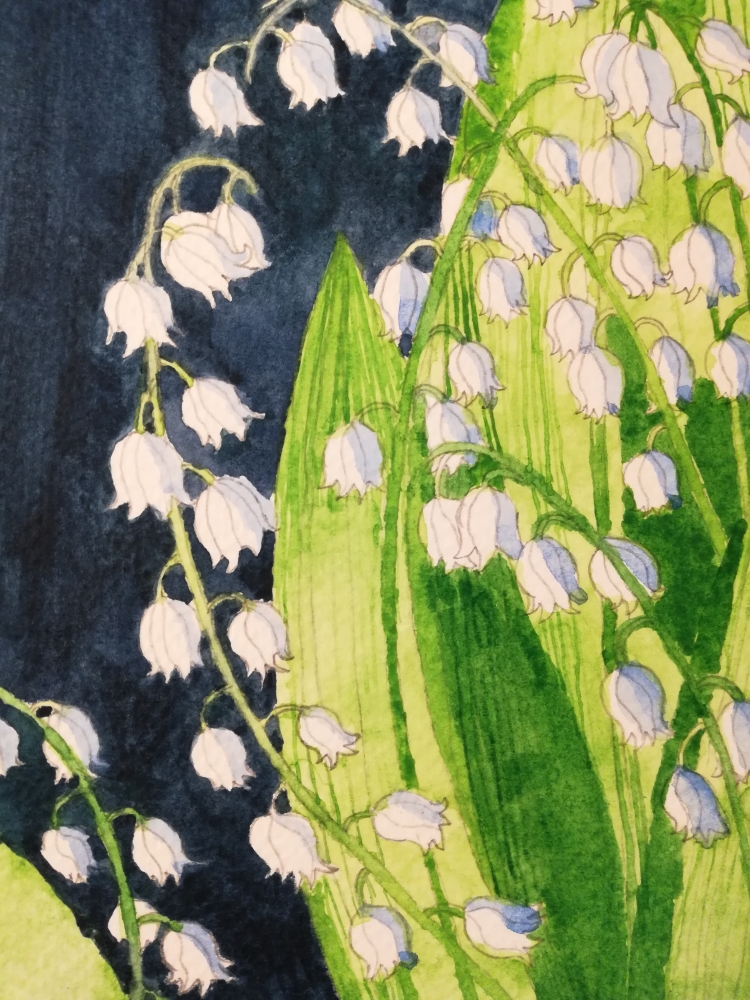 Lily of the valley in watercolour 