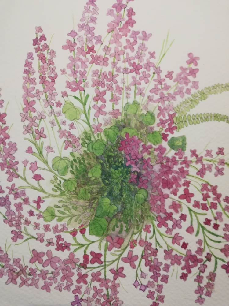 Pink flower wall formation watercolour 