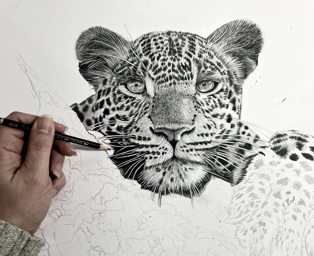 Resting Leopard