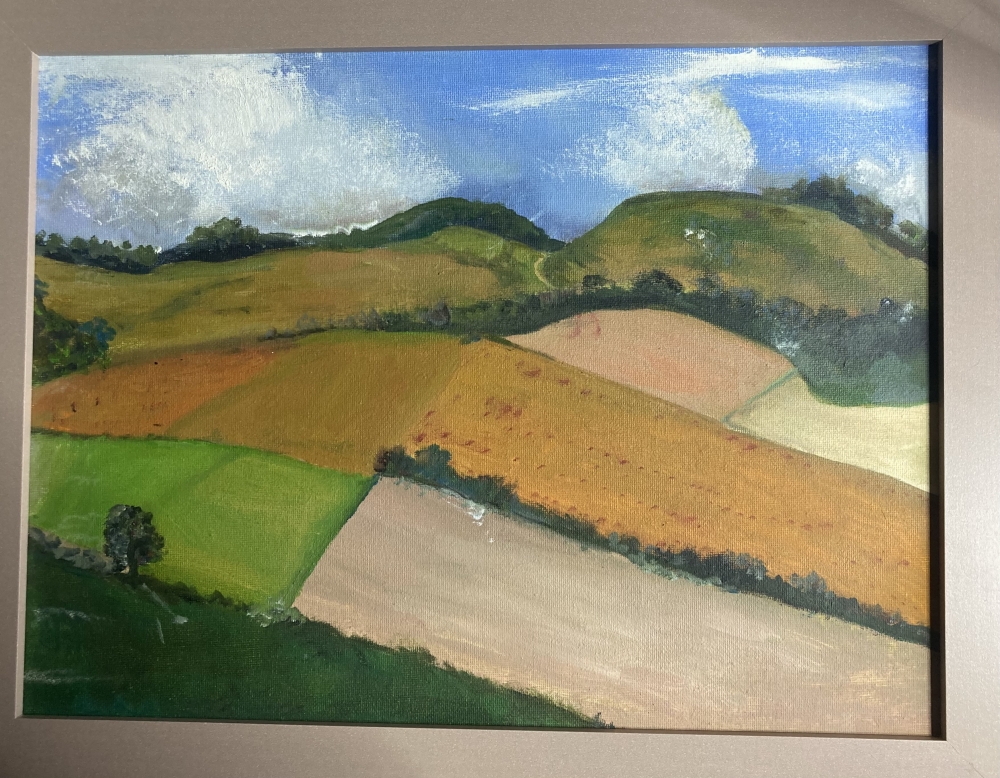 Fields in West Sussex