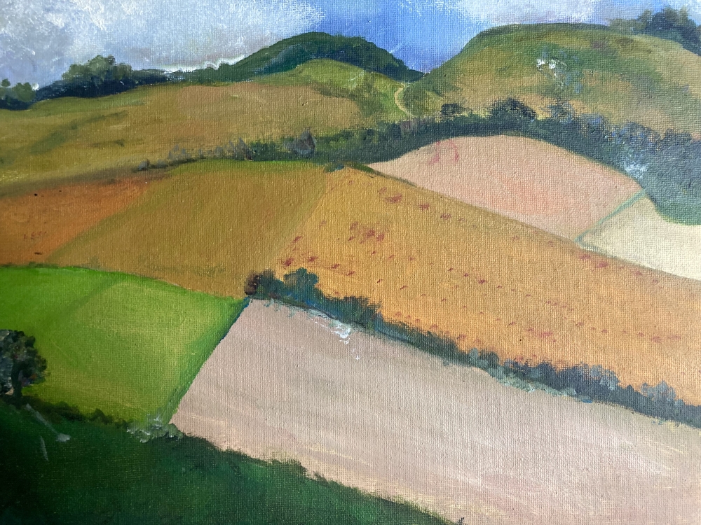 Fields in West Sussex