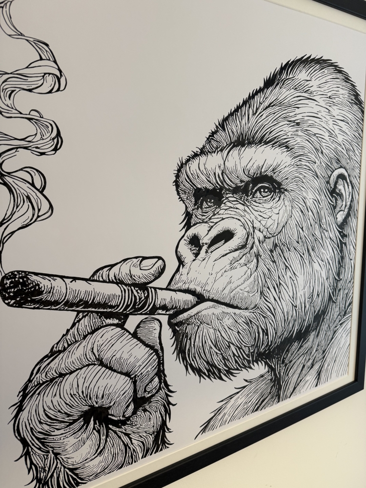 Gorilla 