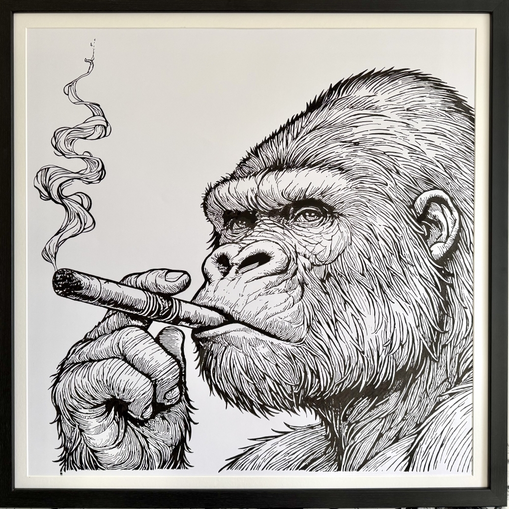 Gorilla 