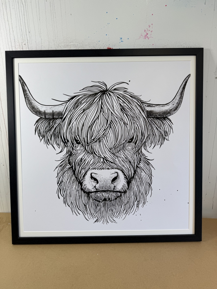 Highland cow