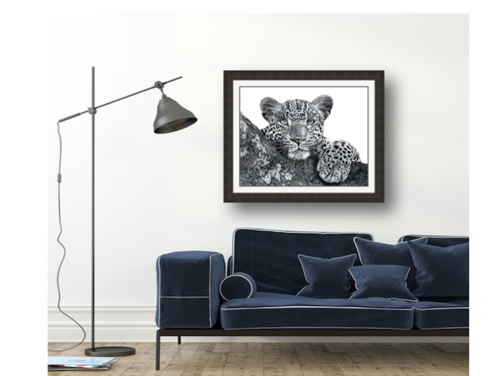 Resting Leopard