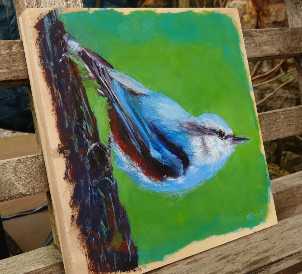 Nuthatch on Tree Trunk