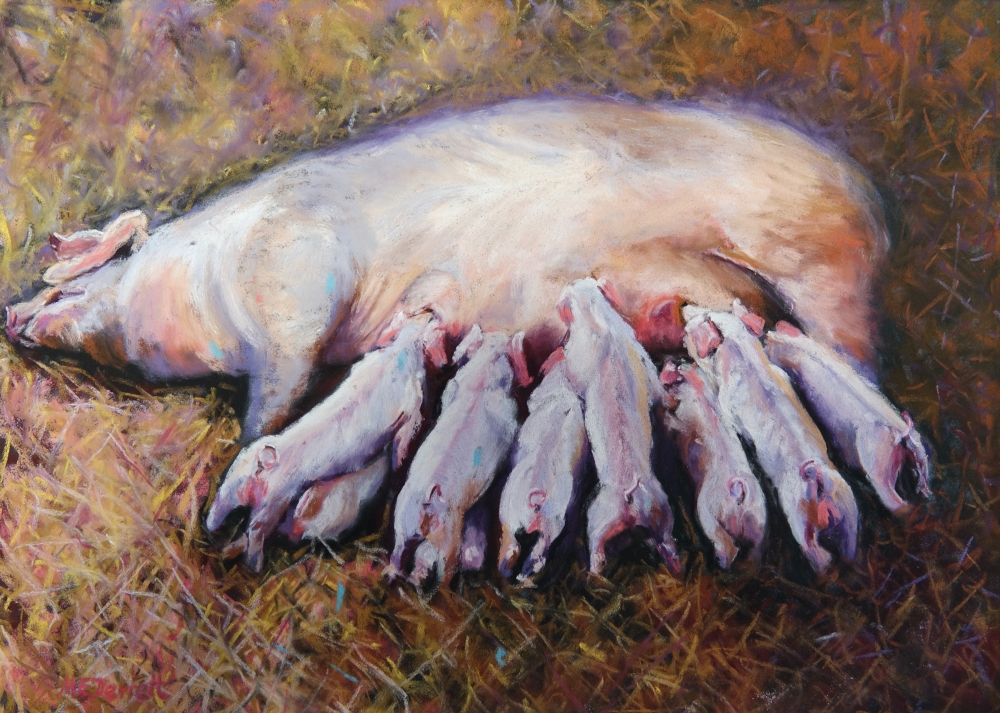 Reclining Pig and Piglets