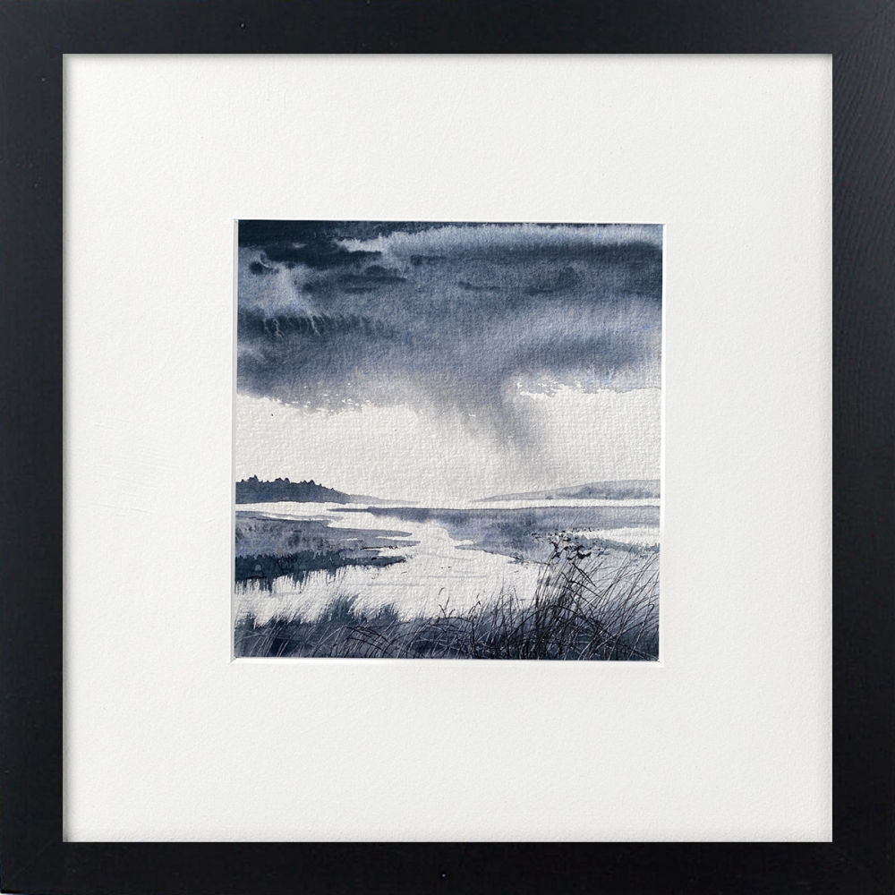 Monochrome - raining over marshes