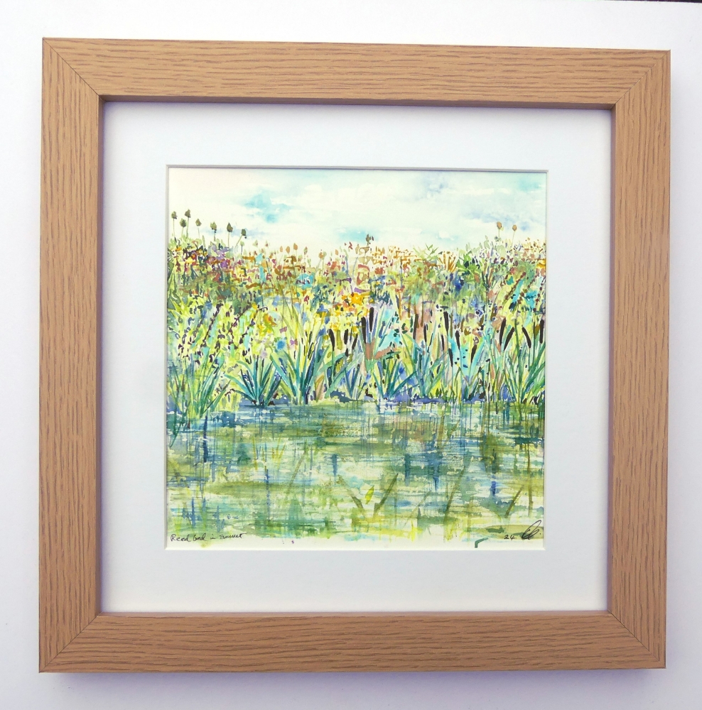 Reed bed in Summer