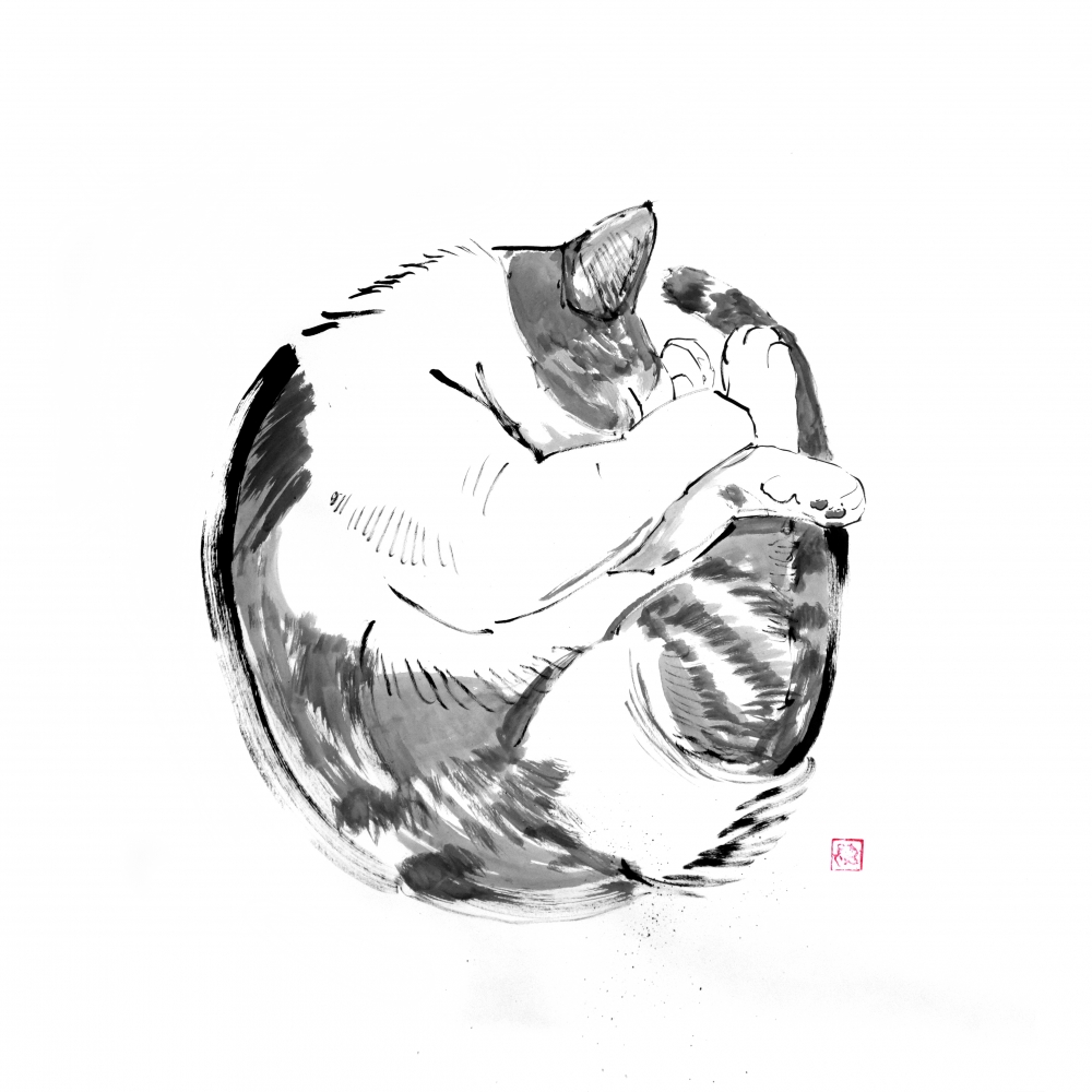 round cat (big format)