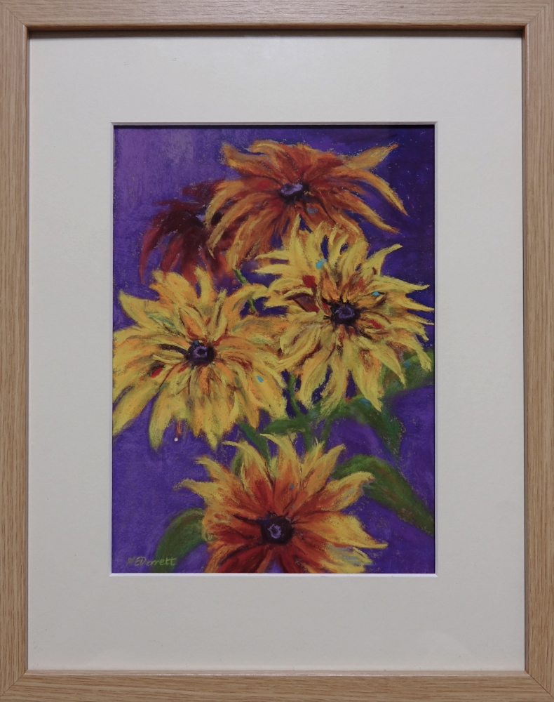 Rudbeckia