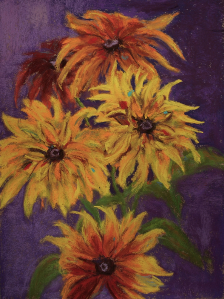 Rudbeckia