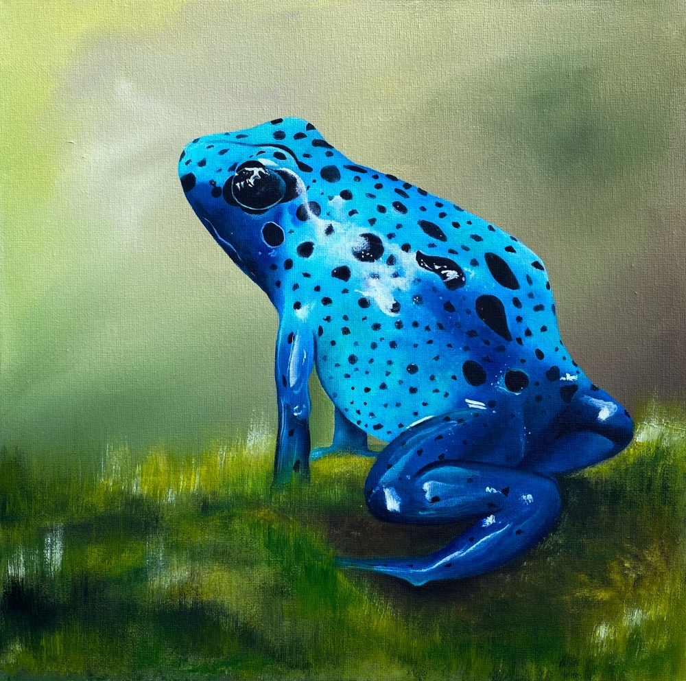 Azure Observer: The Blue Dart Frog