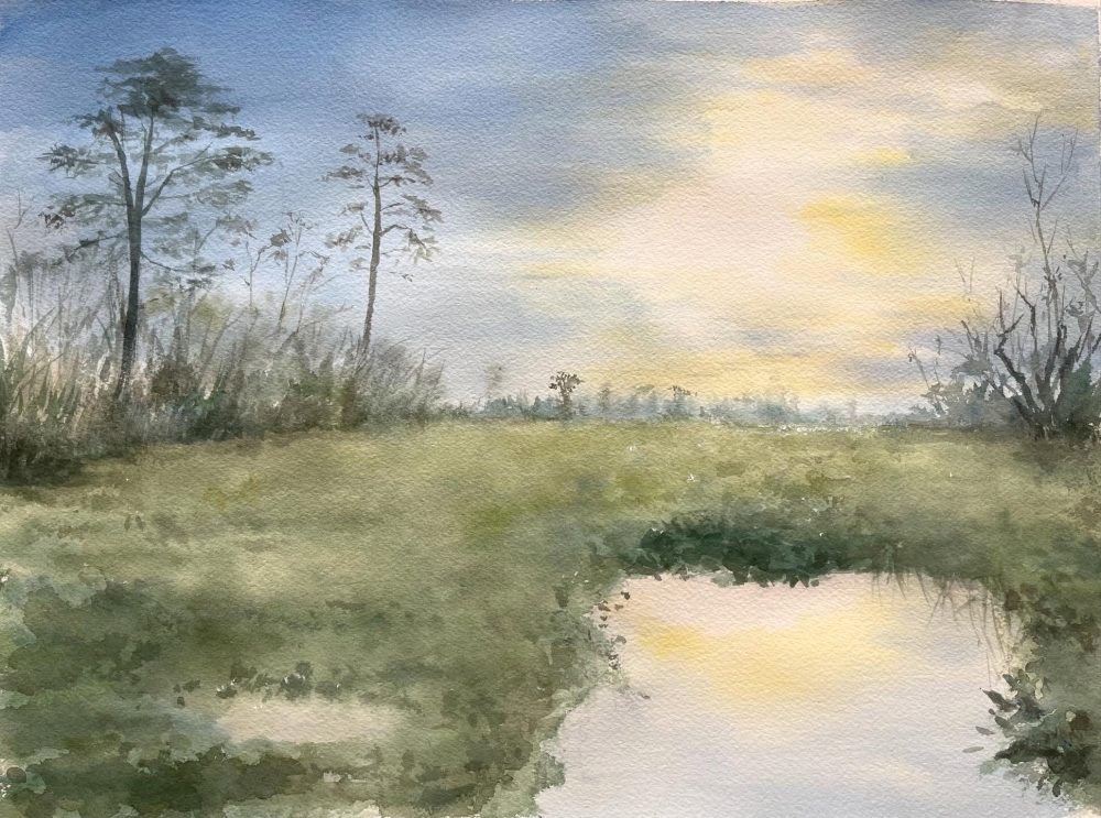 Sunlit Serenity