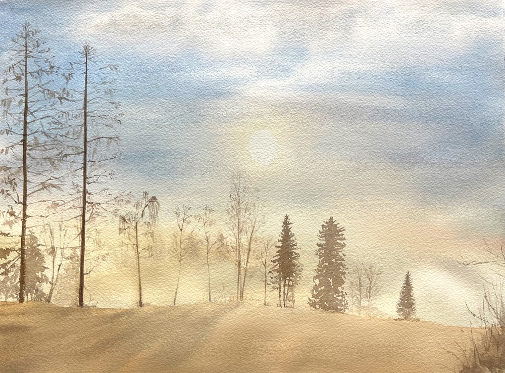 Soft Serenity