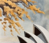 Opera House With Golden Wattle