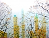 Misty Morning, Central Park , New York City