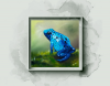 Azure Observer: The Blue Dart Frog