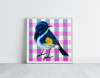 Checkered Charm: The Sapphire Songbird