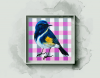 Checkered Charm: The Sapphire Songbird