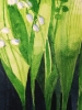 Lily of the valley in watercolour 