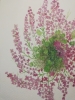 Pink flower wall formation watercolour 