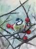 Eurasian Blue tit in a cherry tree