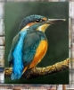 Kingfisher