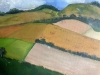 Fields in West Sussex
