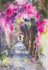 Bougainvillea Tunnel