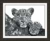 Resting Leopard