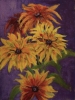 Rudbeckia