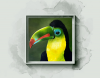 Emerald Gaze: The Toucan Portrait