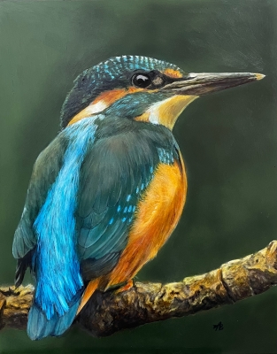 Kingfisher