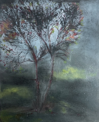 Shaded trees