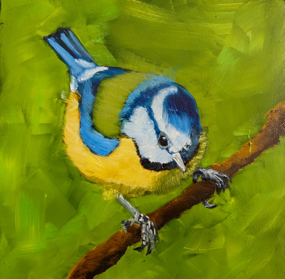 Blue Tit Hanging On