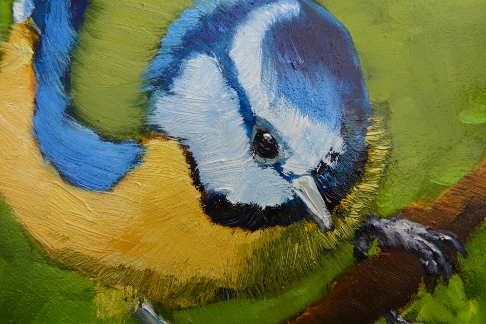 Blue Tit Hanging On