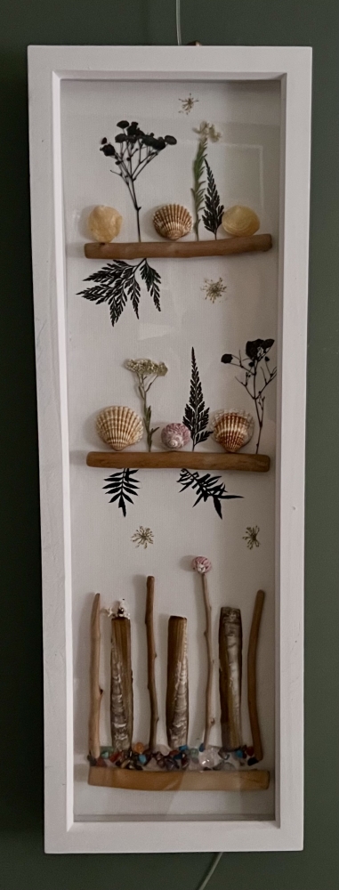 Ferns and Shells