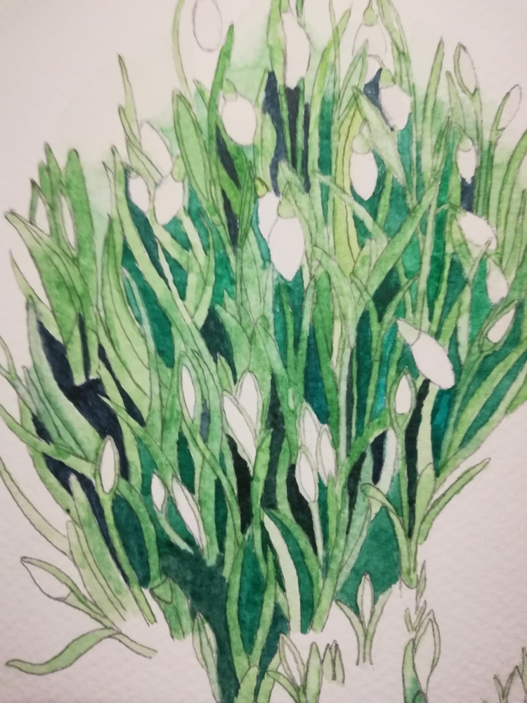 Budding Snowdrops watercolour 