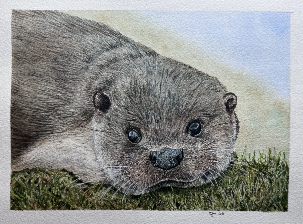 Otter’ly loveable