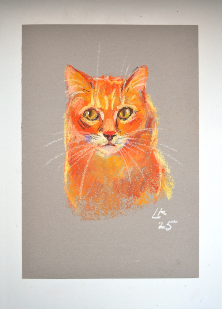 Ginger Cat On A Grey Background