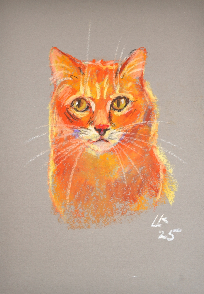 Ginger Cat On A Grey Background