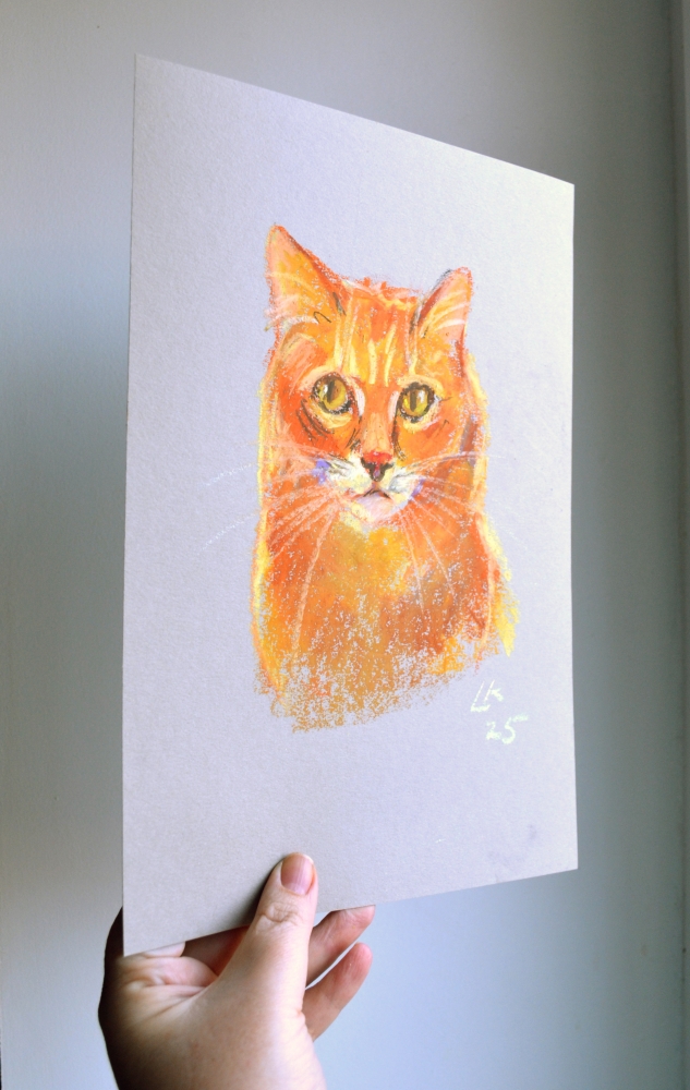 Ginger Cat On A Grey Background