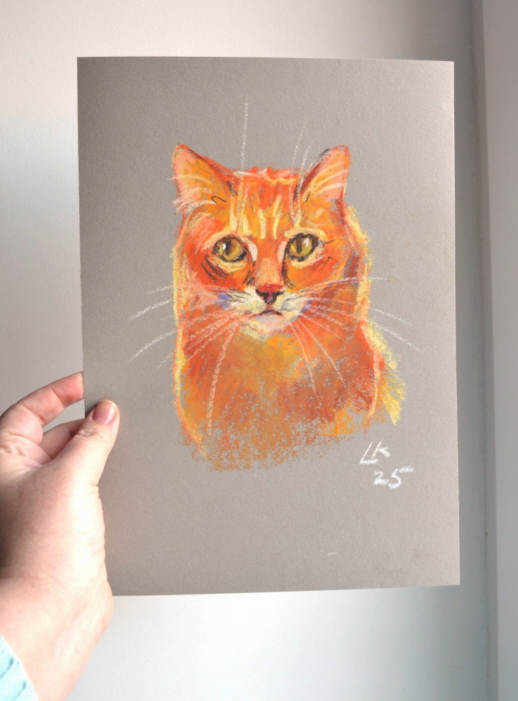 Ginger Cat On A Grey Background