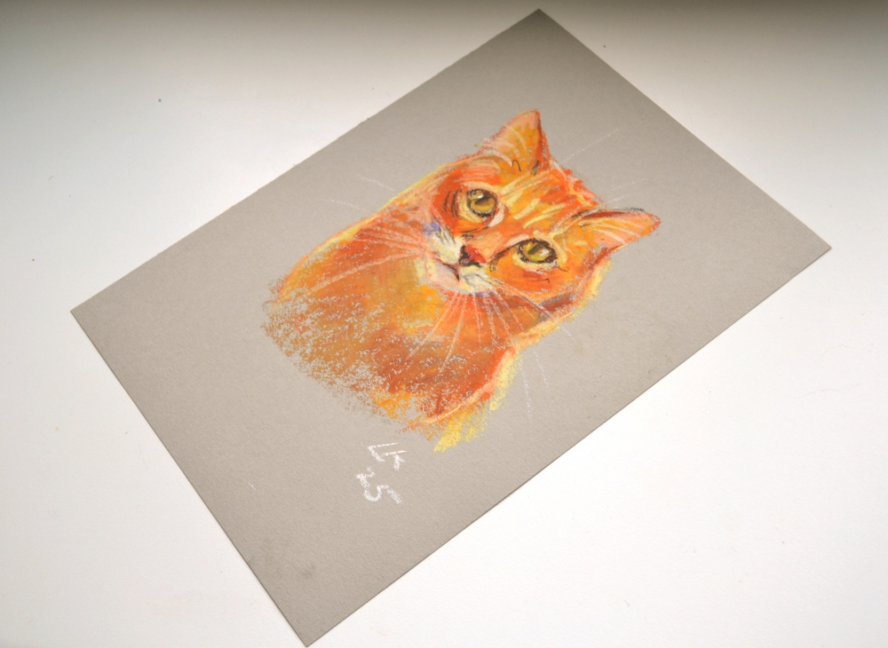 Ginger Cat On A Grey Background