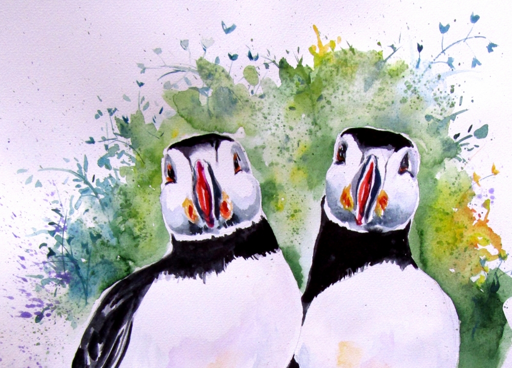 Puffins