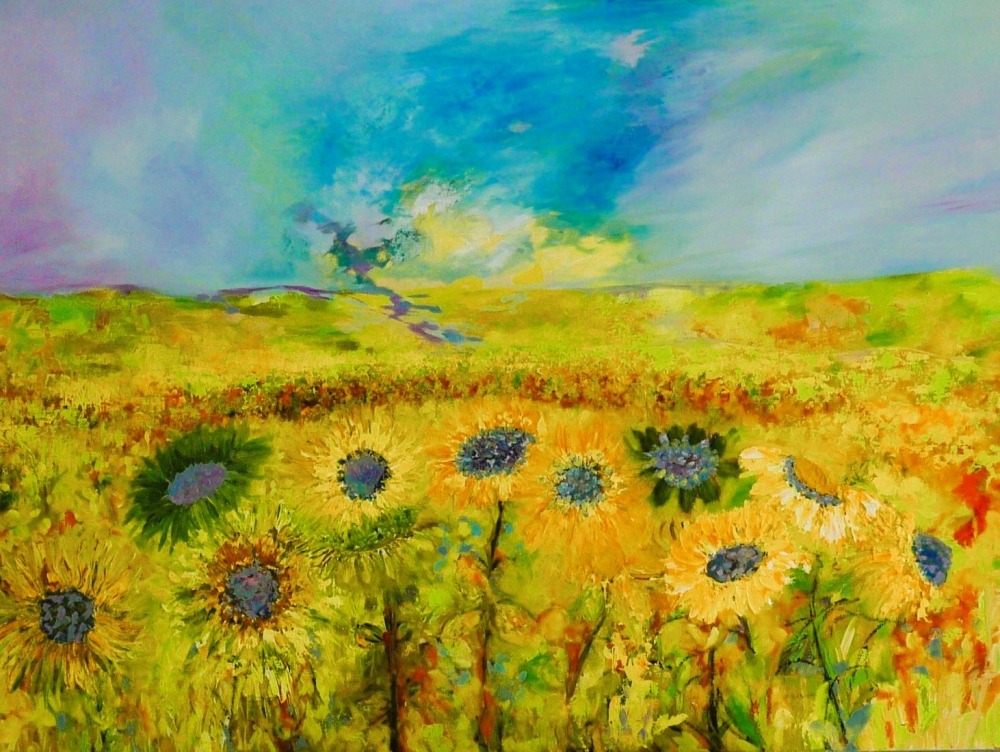 Sunflower Fields 2025