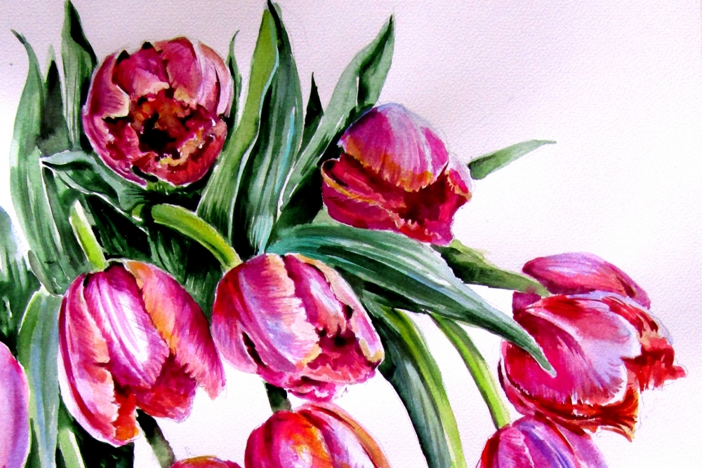 Bouquet of tulips